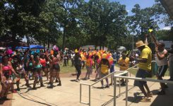 Thousands Attend Caribbean Festival in Bessemer