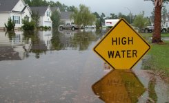 Valley Creek Flood Study